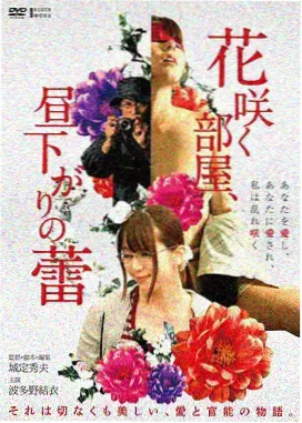 盗梦空间 免费高清影视